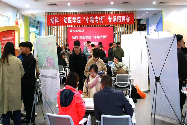 【聚焦院处·动科学院】举办“小精专优”专场招聘会
